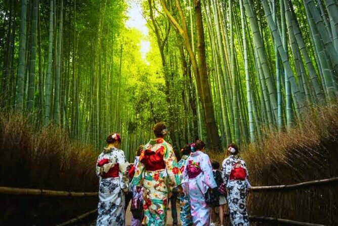 Kiyomizu dera Fushimi Inari and Nara Park Day Tour - Who Would Love This Tour?