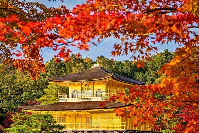 Kiyomizu dera Fushimi Inari and Nara Park Day Tour - Final Thoughts