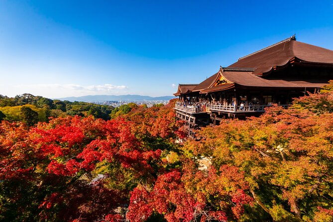 kiyomizu-temple-and-backstreets-of-gion-half-day-group-tour
