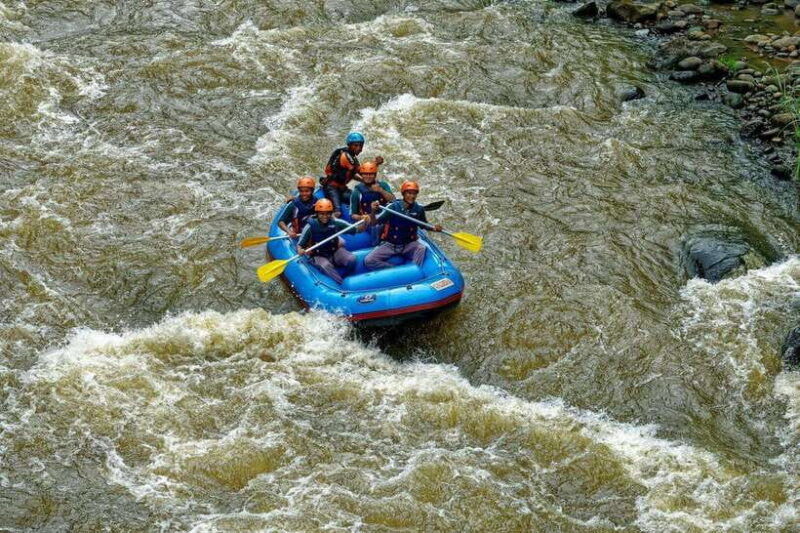 kl-day-tour-with-rafting-fireflies-and-meals