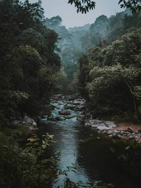 kl-day-tour-with-rafting-fireflies-and-meals