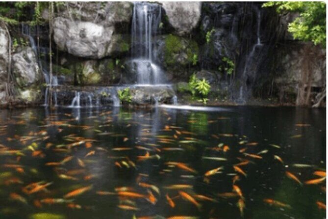 KL in a Day: 10-Hour Adventure Through the Heart of the City - Who is This Tour Best For?