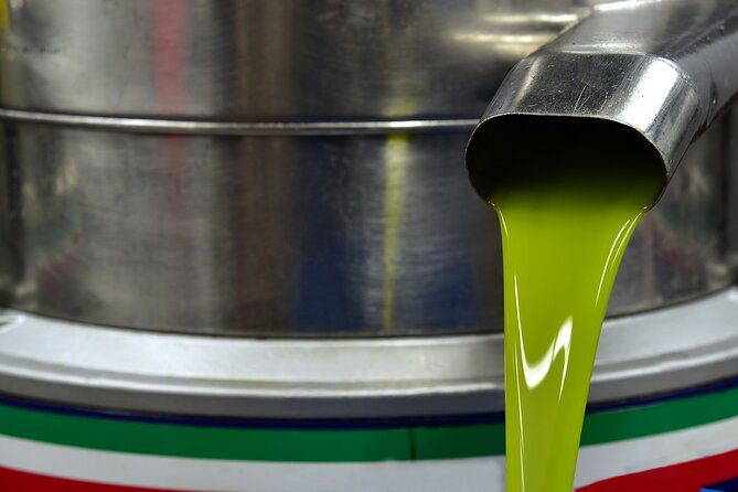 kleanthi-olive-farm-guided-tour-with-local-delicacies-tasting