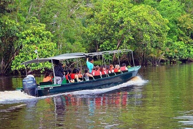 Klias River Safari from Kota Kinabalu - Final Thoughts: Who Will Love This Tour?