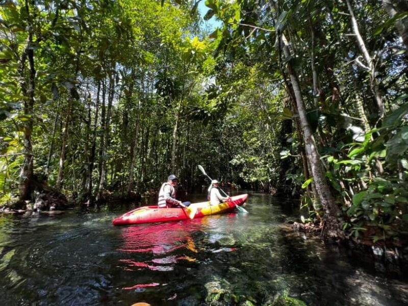 Klong Rud Kayaking with Hotel Transfer - An In-Depth Look at the Klong Rud Kayaking Experience
