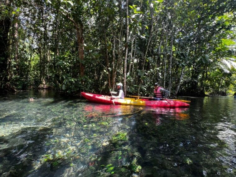 klong-rud-kayaking-with-hotel-transfer