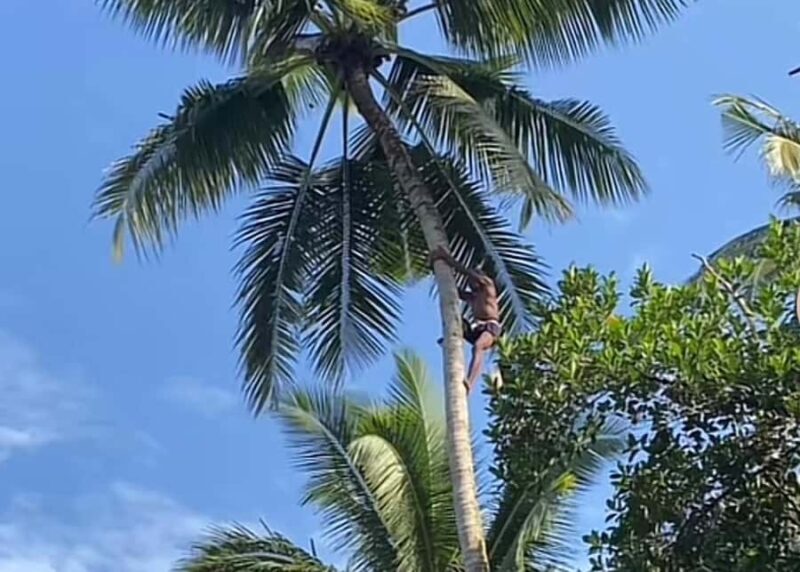 Klungkung: Kusamba Salt and Dawan Sugar Tour - The Sum Up