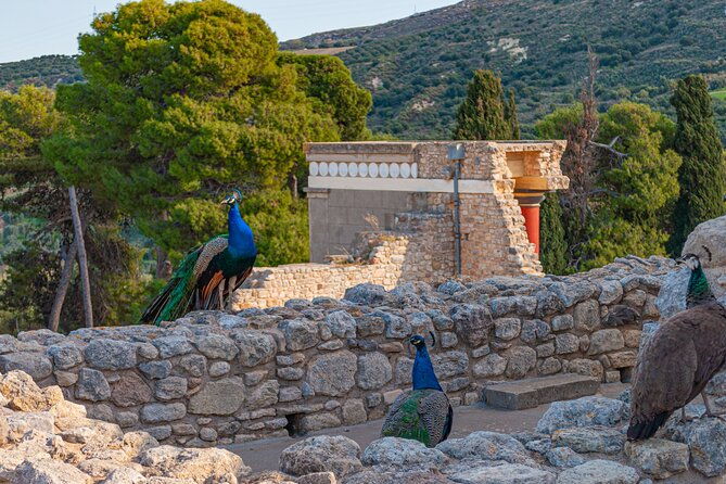 knossos-palace-private-walking-tour