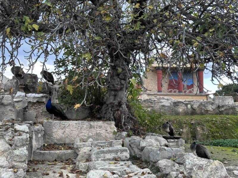 knossos-palace-skip-the-line-ticket-private-guided-tour