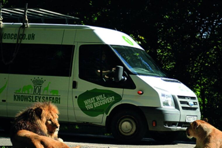 knowsley-safari-entry-tickets