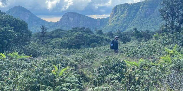 knuckles-leopard-trail-trek-from-kandy