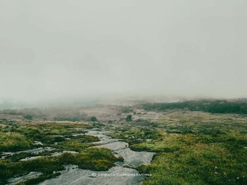 Knuckles Mountain Range: Kotaganga Waterfall Chain Hike - Exploring the Itinerary in Detail