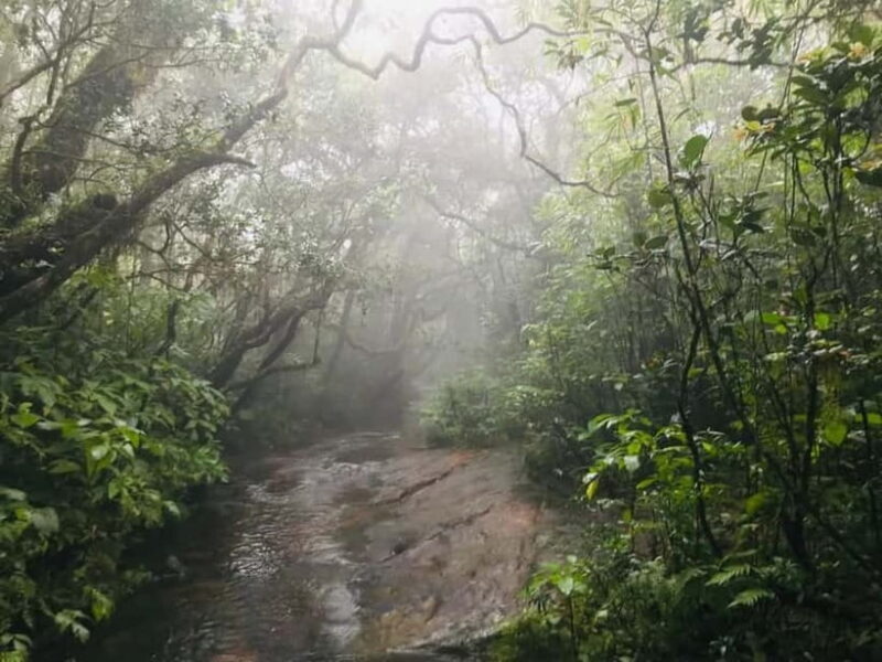 Knuckles Mountain Range: Kotaganga Waterfall Chain Hike - Final Thoughts