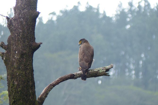 Knuckles Spice Trail Trek from Kandy - Who Is This Tour Best For?