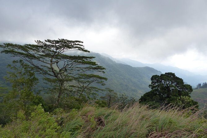 Knuckles Spice Trail Trek from Kandy - FAQ