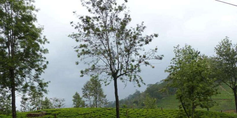 knuckles-spice-trail-trek-from-kandy