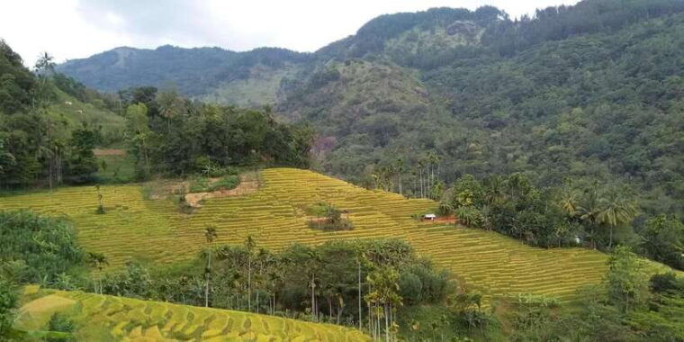 knuckles-spice-trail-trek-from-kandy
