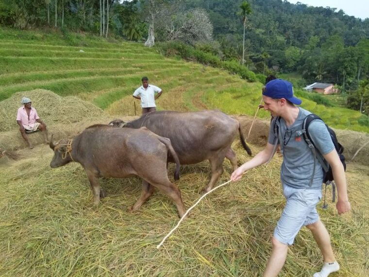 knuckles-spice-trail-trek-from-kandy