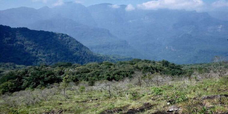 knuckles-tuk-tuk-safari-short-hiking