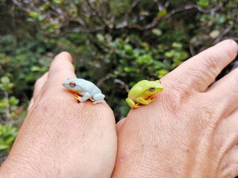 Knuckles: Wildlife Tours with FGASA Field Guides - The Value of This Experience