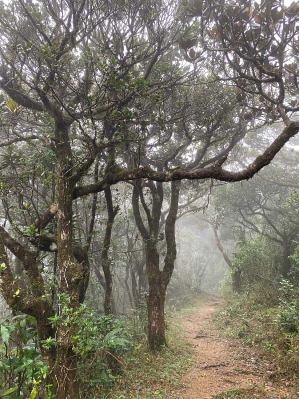 Knuckles: Wildlife Tours with FGASA Field Guides - Who Will Benefit Most From This Tour?