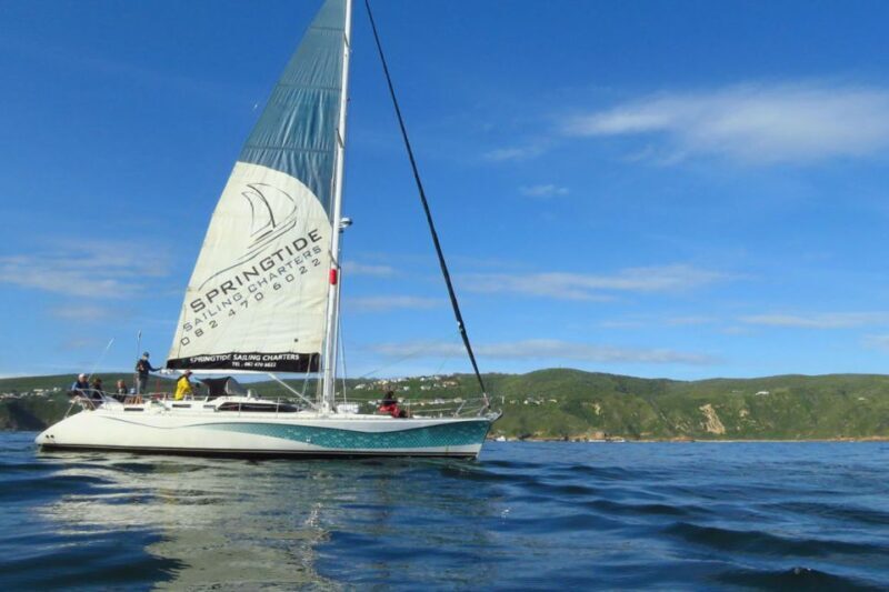 Knysna: 1.5-Hour Sailing Experience - Why This Sailing Experience Offers Great Value
