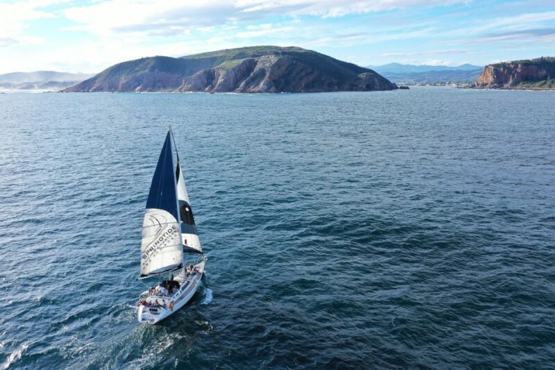 Knysna: 1.5-Hour Sailing Experience - Practical Tips for a Great Sailing Experience