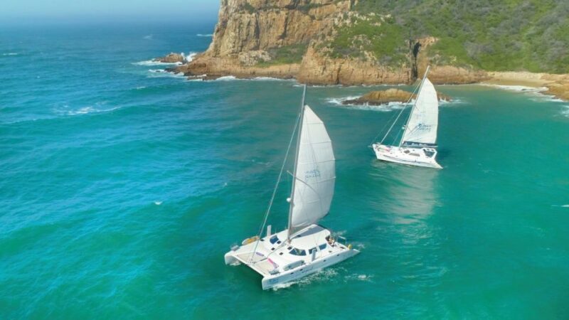 Knysna: #1 Private Scenic Cruise Aboard a Luxury Catamaran - Key Points