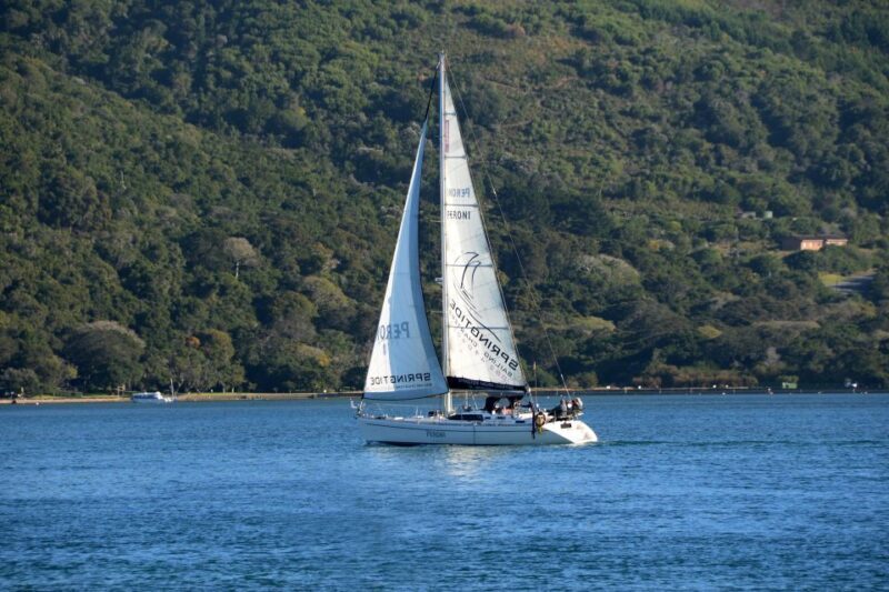 Knysna: 2.5-Hour Day Sail & Lunch Charter - The Itinerary: What to Expect