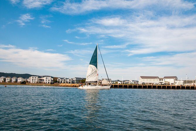 Knysna Day Sail & Lunch Charter 2.5 Hour - Final Thoughts