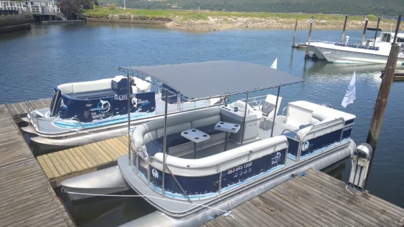Knysna: Knysna Lagoon Pontoon Boat Cruise - Why You Should Consider This Experience