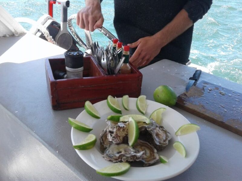Knysna Lagoon: Boat Cruise with Oyster & White Wine Tasting - Key Points: