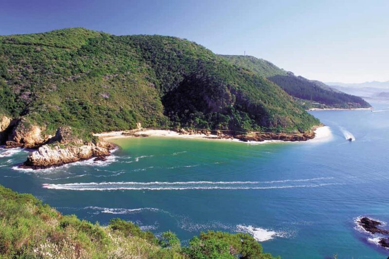 Knysna: Luxury Catamaran Marine Adventure Tour - Value and Pricing Analysis