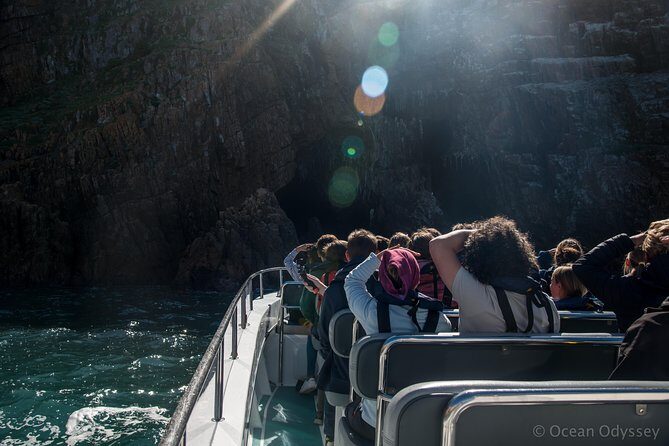 Knysna Marine Life & Garden Route Coastline Experience - Who Should Consider This Tour?
