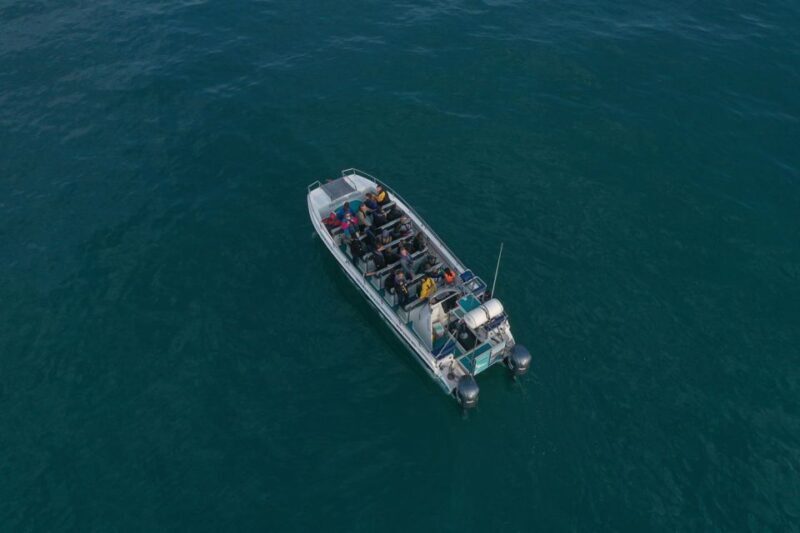Knysna: Marine Life & Garden Route Coastline Tour - Who Would Love This Tour?