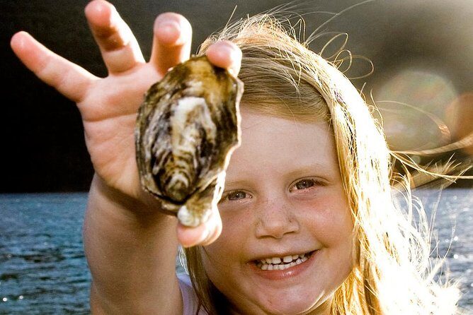 Knysna Oyster Tour - Key Points from the Knysna Oyster Tour