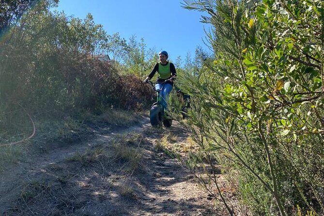 Knysna Scootours - The Sum Up