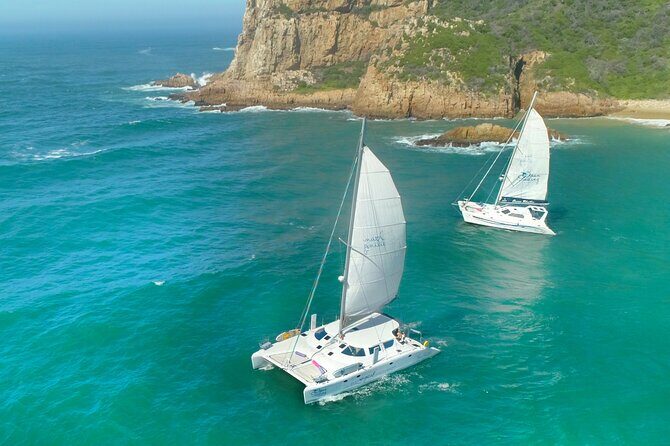 Knysna Sunset Sailing Cruise with captain's steak Braai & Bubbly - What to Expect from the Itinerary