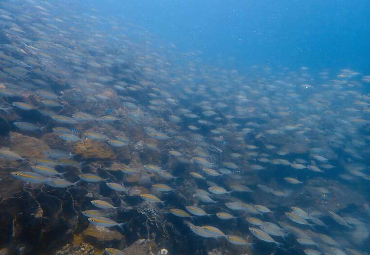 ko-kut-private-boat-trip-to-koh-rang-the-national-park