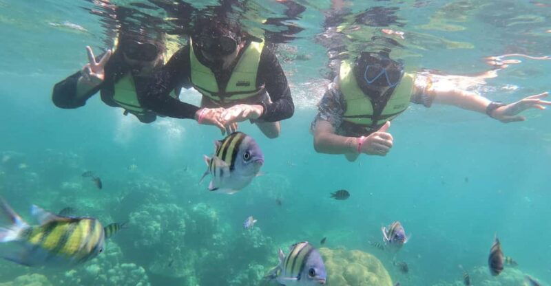 ko-lanta-4-islands-and-emerald-cave-day-tour-by-speedboat
