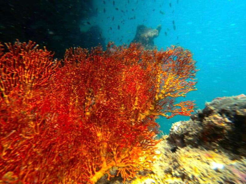 ko-lanta-4-islands-and-emerald-cave-snorkeling-trip