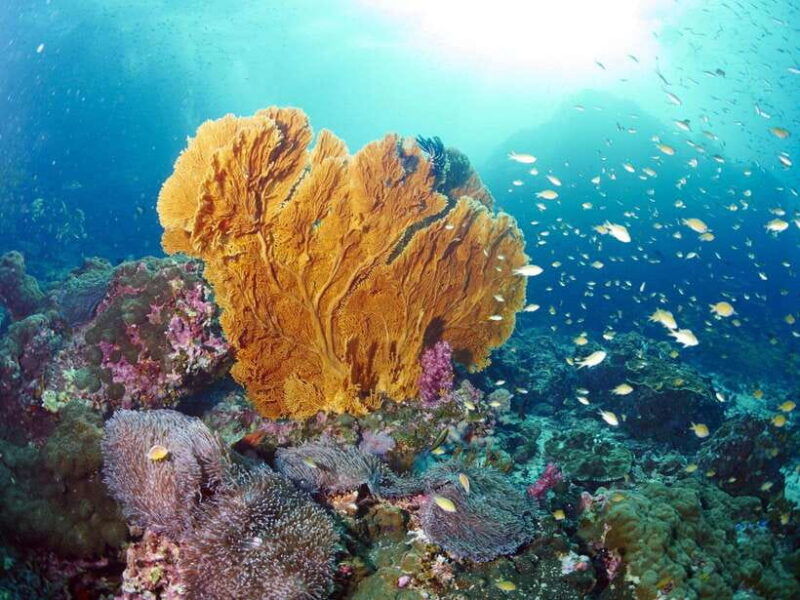 ko-lanta-amazing-4-islands-snorkeling-day-trip-w-lunch