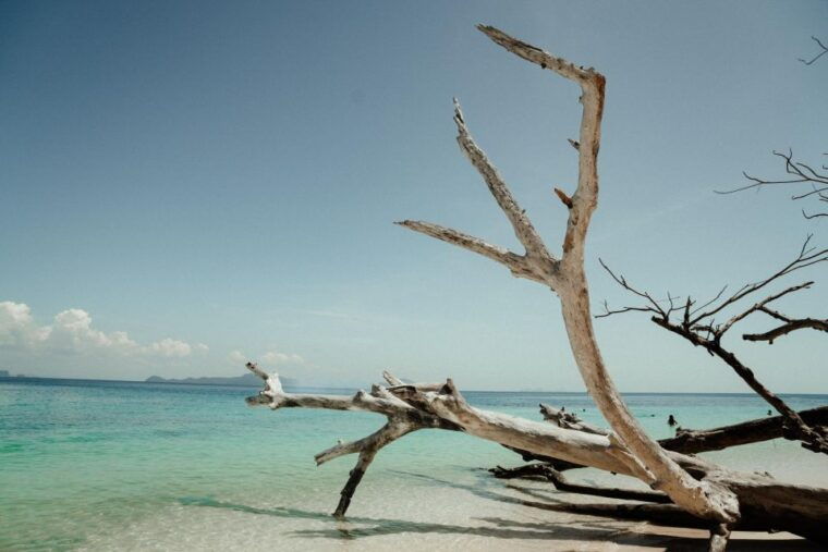 ko-lanta-early-bird-the-emerald-caves-and-koh-kradan-tour