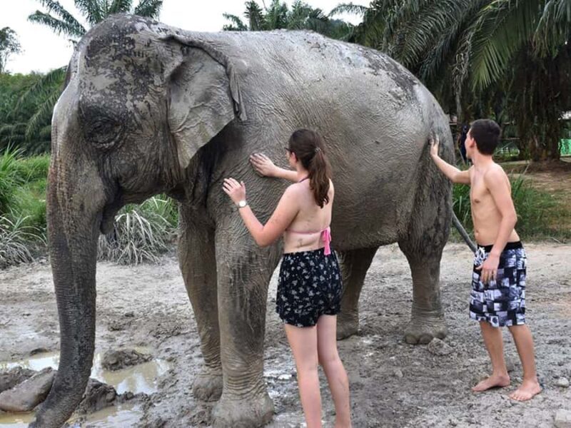 Ko Lanta: Elephant Sanctuary Tour - Mud Spa & Bathing - Key Points