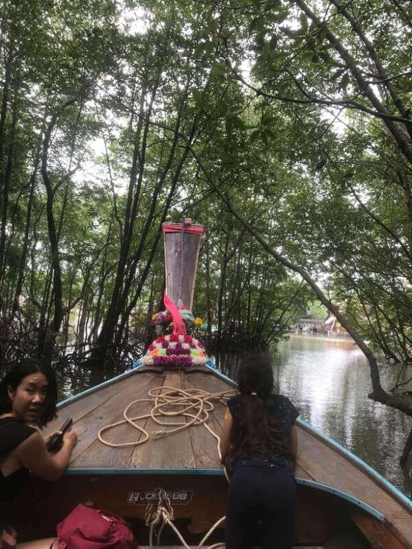 ko-lanta-explore-mangrove-tour-by-longtail-boat-with-lunch