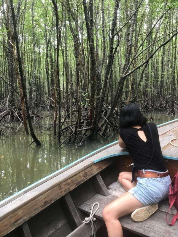 ko-lanta-explore-mangrove-tour-by-longtail-boat-with-lunch