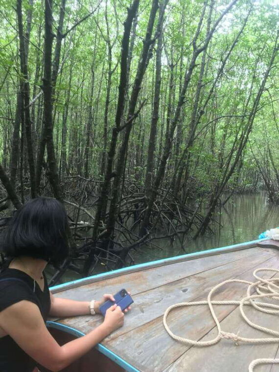 ko-lanta-explore-mangrove-tour-by-longtail-boat-with-lunch