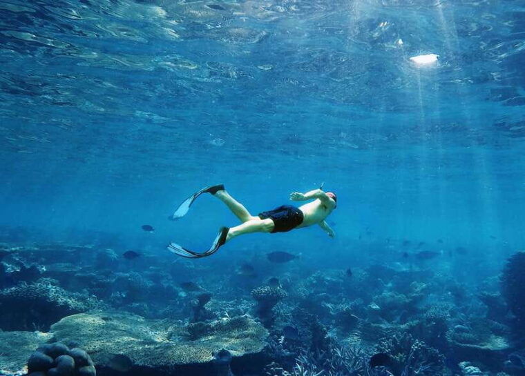 ko-lanta-full-day-snorkel-trip-to-phi-phi-bamboo-islands