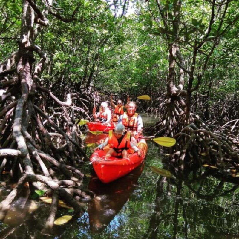 ko-lanta-half-day-explore-mangrove-kayaking-tour-and-lunch