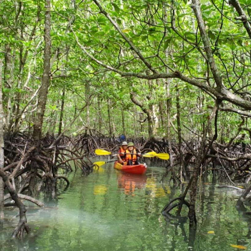 ko-lanta-half-day-explore-mangrove-kayaking-tour-and-lunch